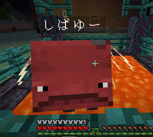 マイクラ　マイつや　しばゆー　ストライダー