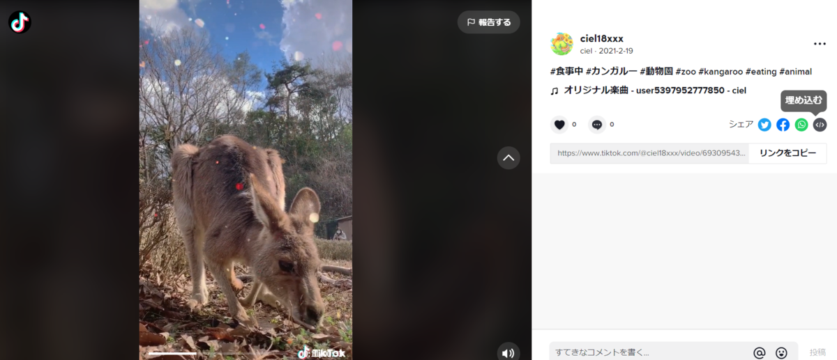 TikTok 動画 埋め込み ブログ 貼りつけ