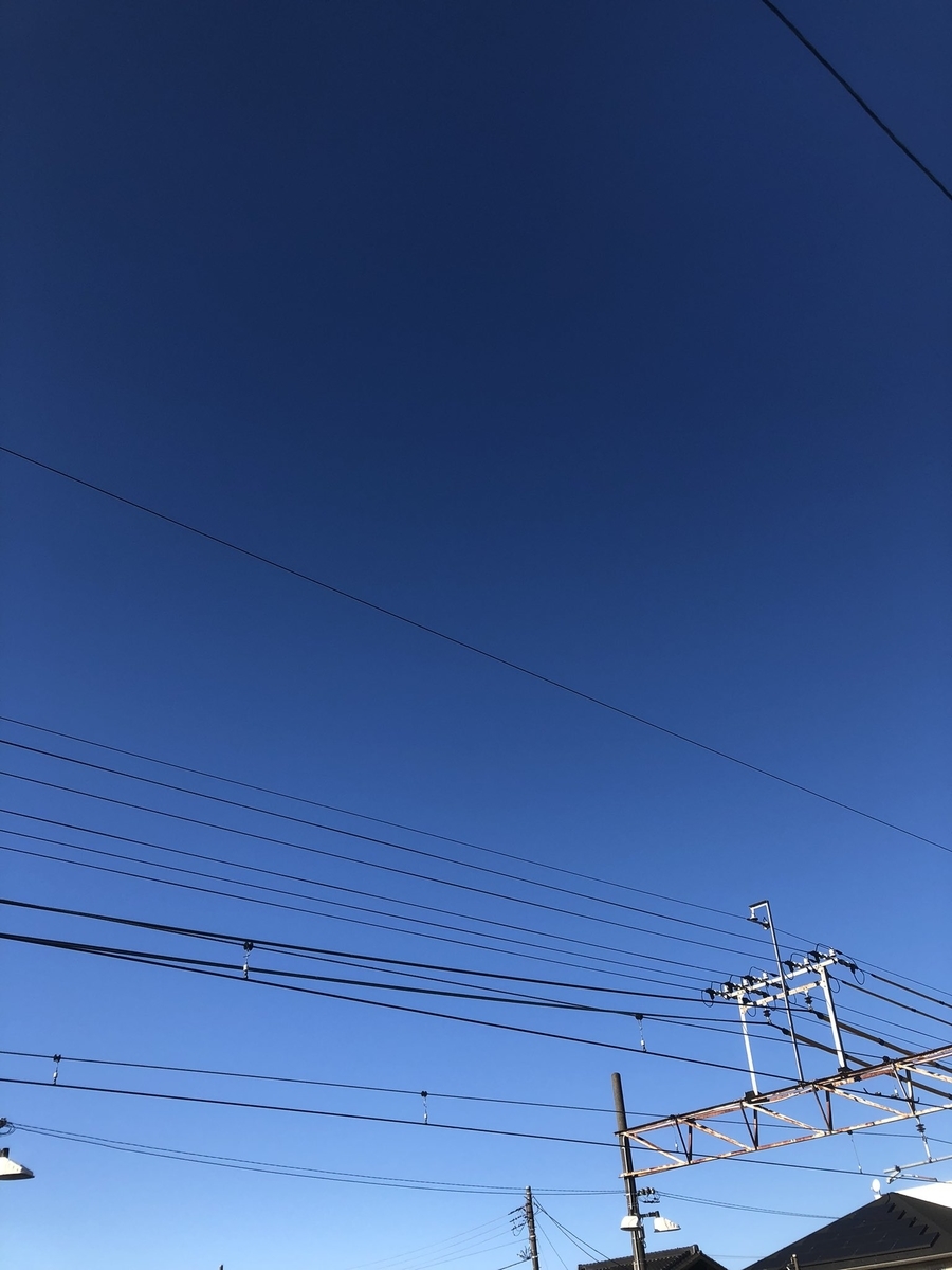 f:id:ciel_lll_2:20211213151743j:plain