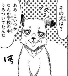 f:id:ciel_machine:20181001161809j:plain