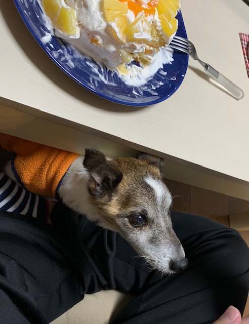 f:id:cieloalto:20191230142405j:plain