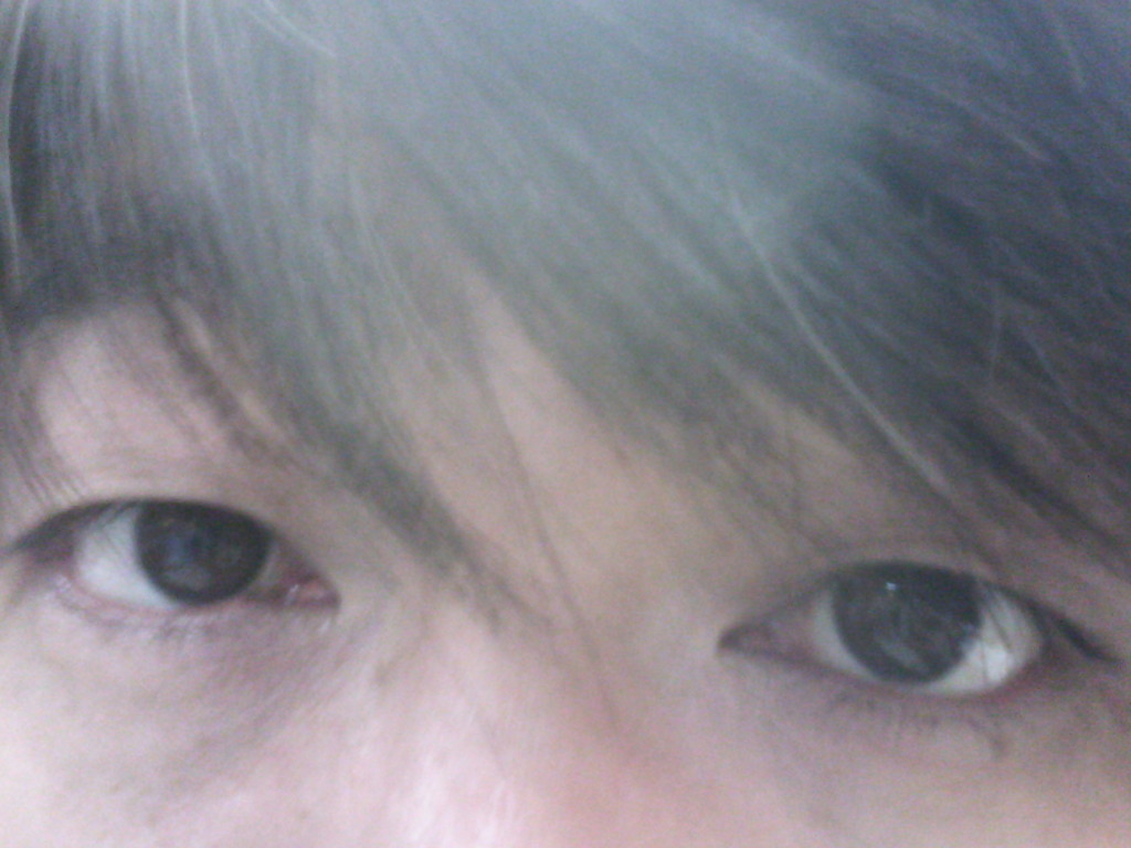 f:id:cild:20160121103108j:plain:w300