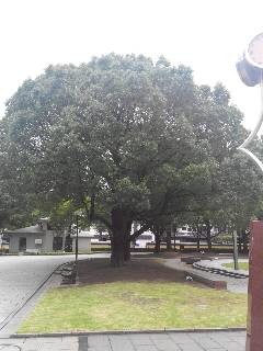 f:id:cild:20160711090820j:plain