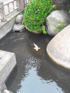 f:id:cild:20160711090908j:plain