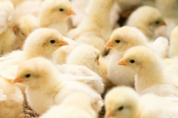 f:id:cild:20180224120031j:plain