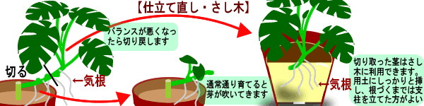 f:id:cimacox:20180525072708g:plain