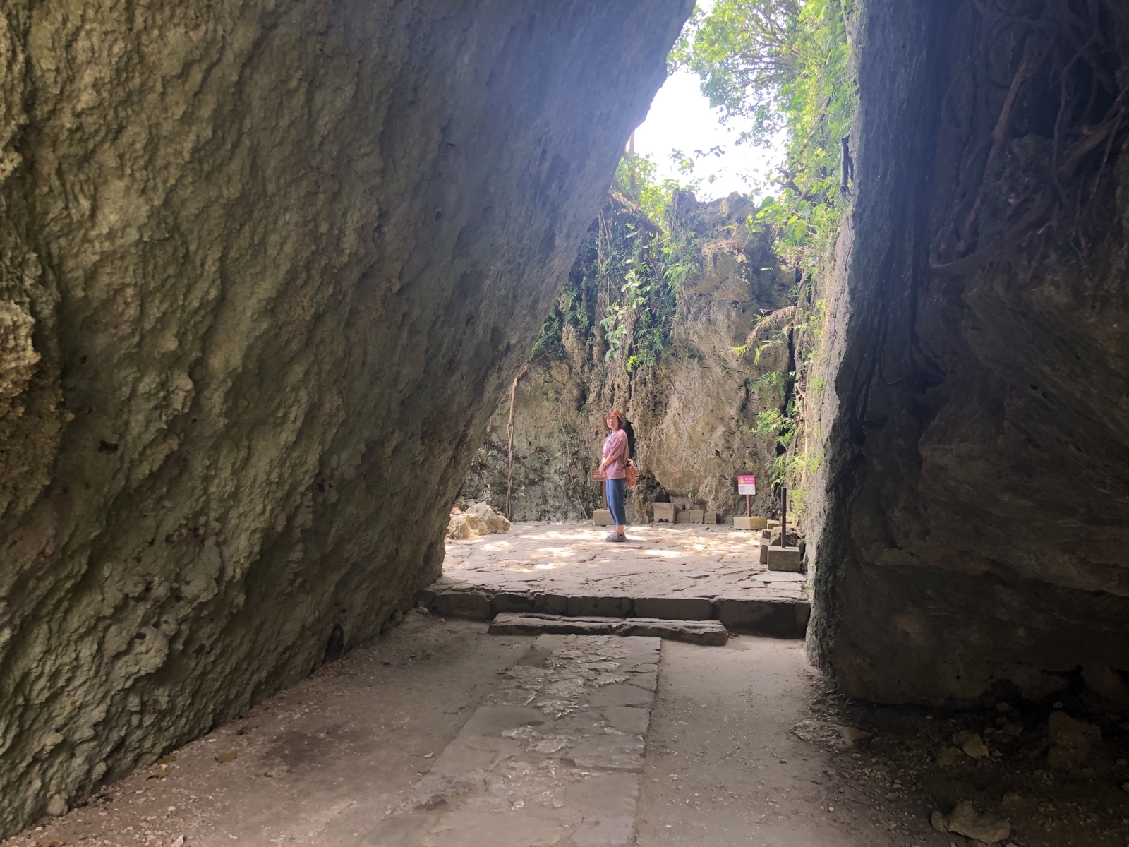 f:id:cimacox:20190527121106j:plain f:id:cimacox:20190527121106j:plain