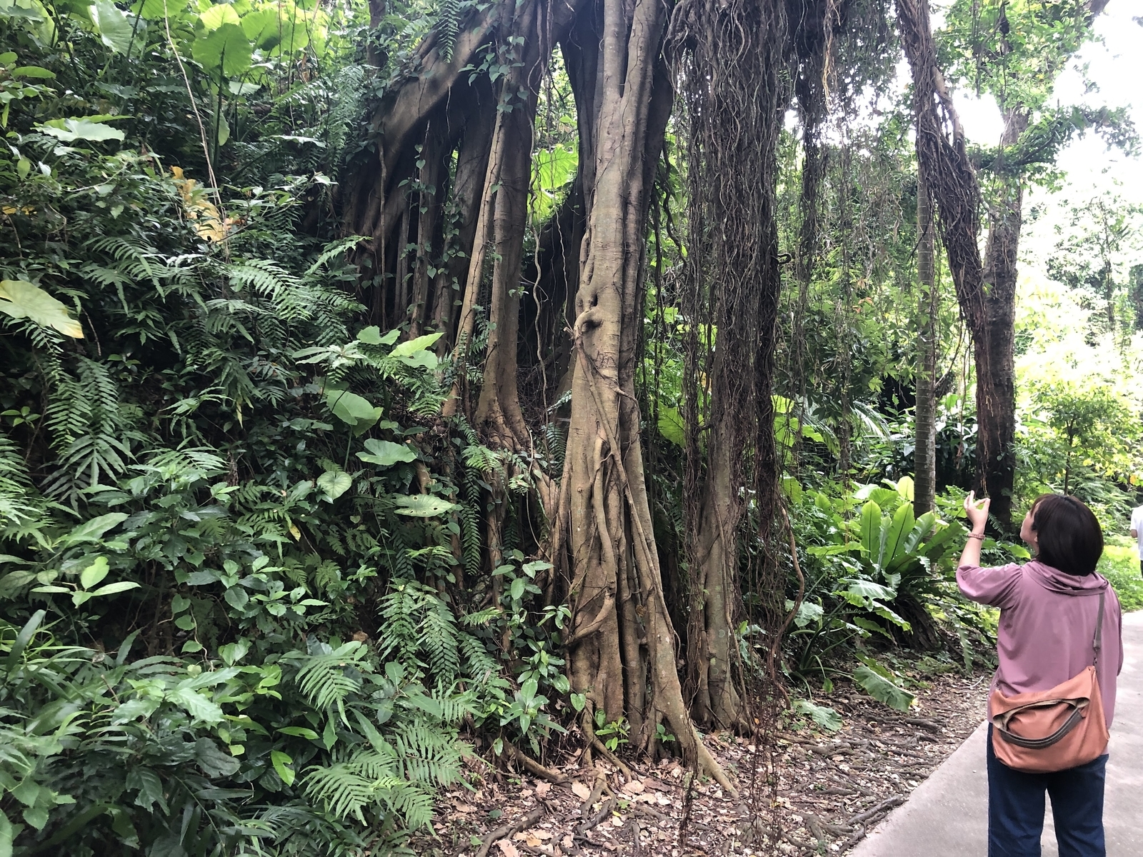 f:id:cimacox:20190527142700j:plain f:id:cimacox:20190527142700j:plain
