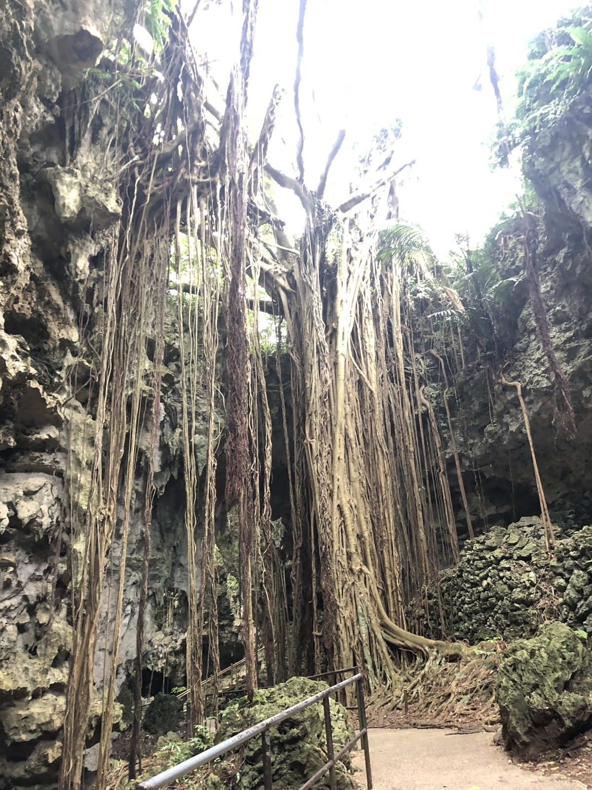 f:id:cimacox:20190527144958j:plain f:id:cimacox:20190527144958j:plain