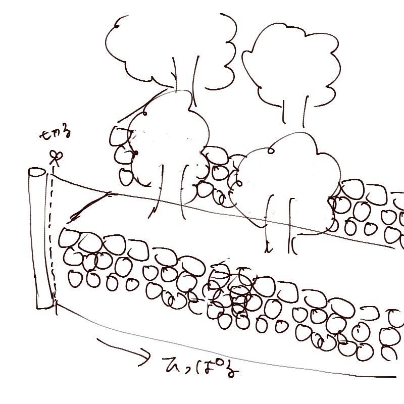 f:id:cimacox:20210902080028j:plain