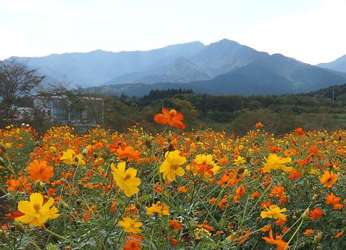 f:id:cimausu:20140922234603j:image