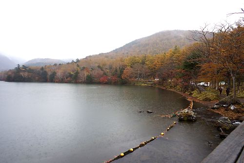 f:id:cimausu:20141104230542j:image