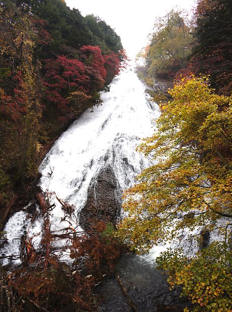 f:id:cimausu:20141104230545j:image
