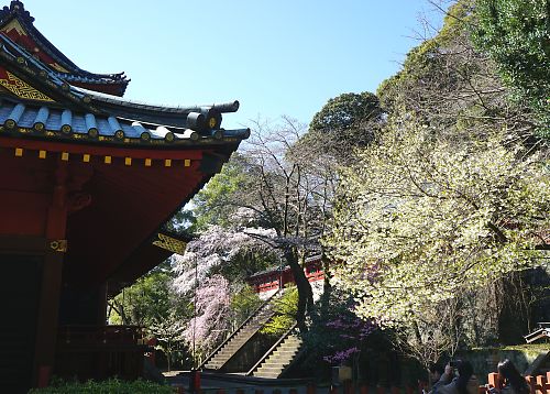 f:id:cimausu:20150326011826j:image