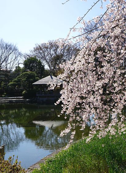 f:id:cimausu:20150326011827j:image