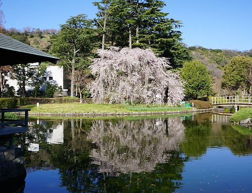 f:id:cimausu:20150326011828j:image
