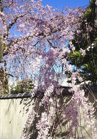 f:id:cimausu:20150326011829j:image