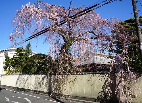 f:id:cimausu:20150326011830j:image