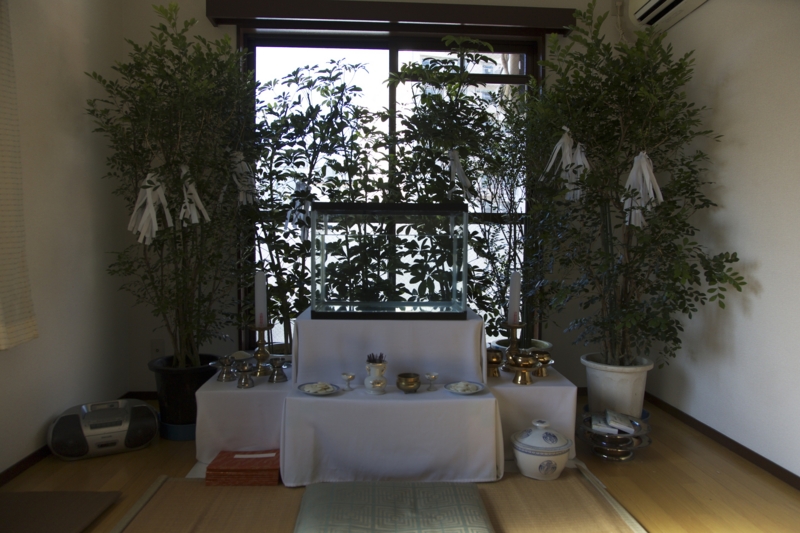 f:id:cinemaimpact:20130119124453j:image