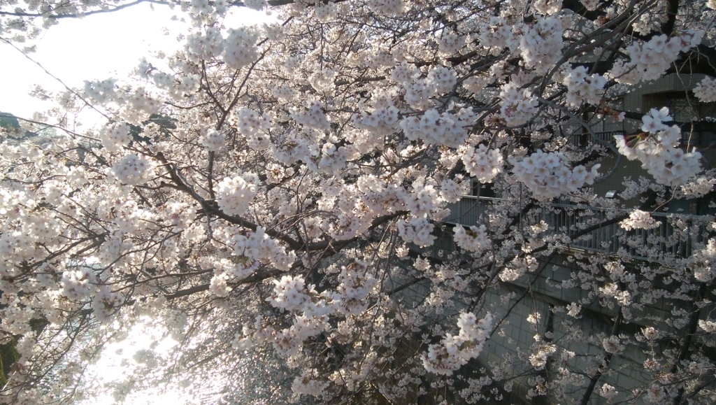 f:id:cinemaking:20180326210841j:plain