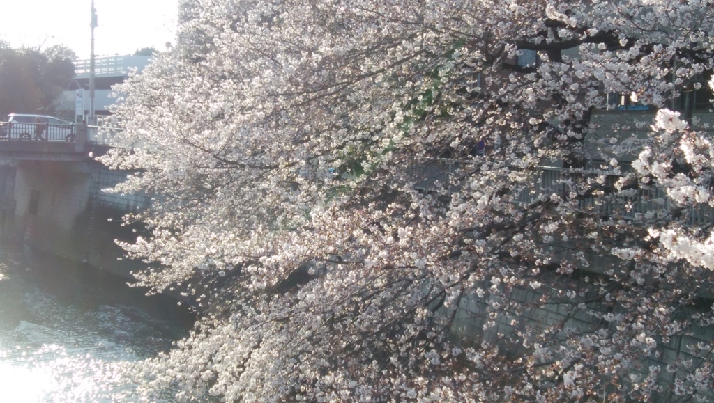 f:id:cinemaking:20180326211003j:plain