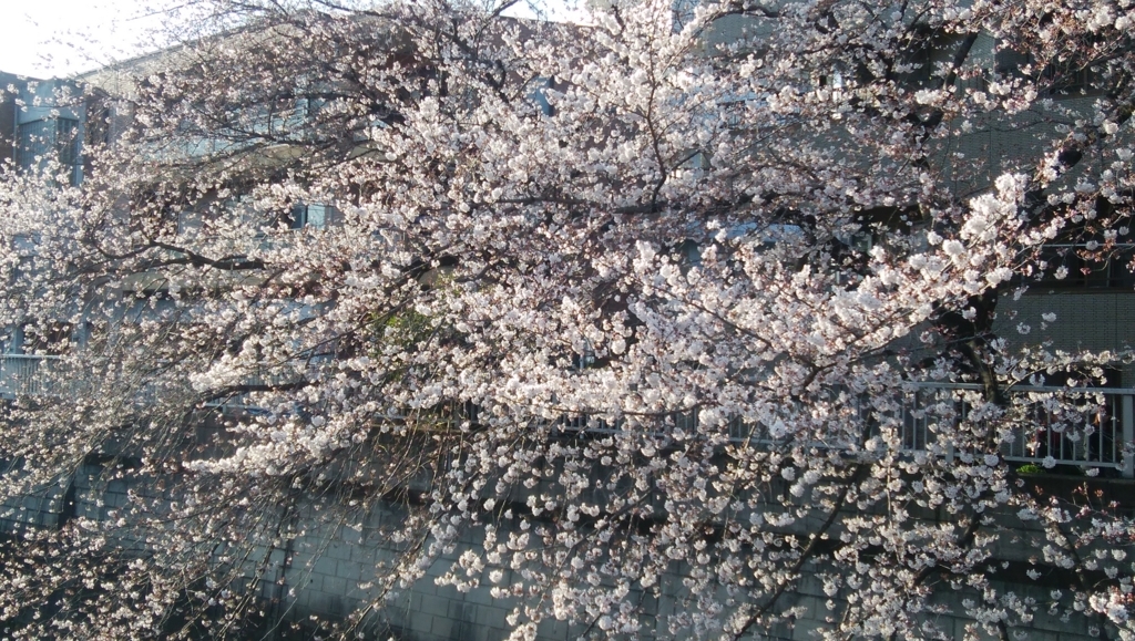 f:id:cinemaking:20180326211107j:plain