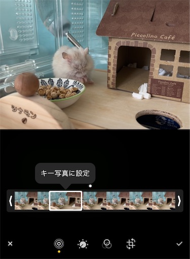 f:id:cinnamon_blog:20230302215052j:image