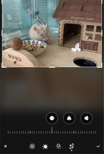 f:id:cinnamon_blog:20230302215158j:image