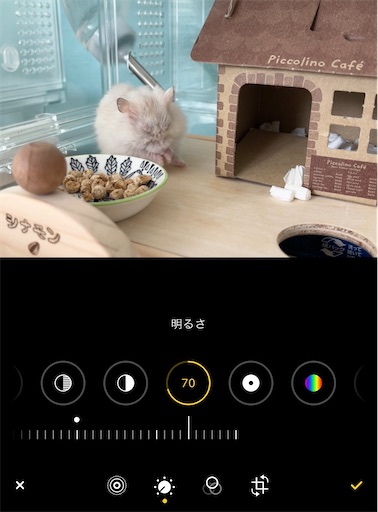 f:id:cinnamon_blog:20230302215306j:image