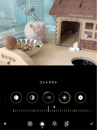 f:id:cinnamon_blog:20230302215326j:image