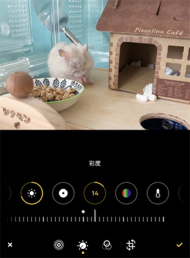 f:id:cinnamon_blog:20230302215701j:image