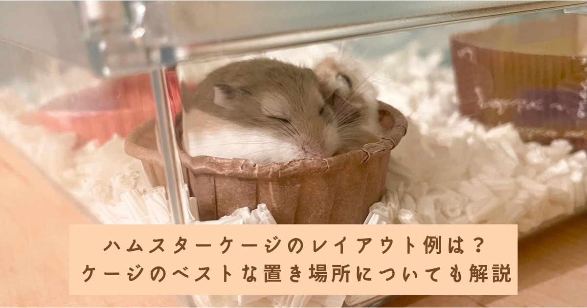 ハムスターゲージ ハムスターケージのレイアウトは？飼育グッズの配置 