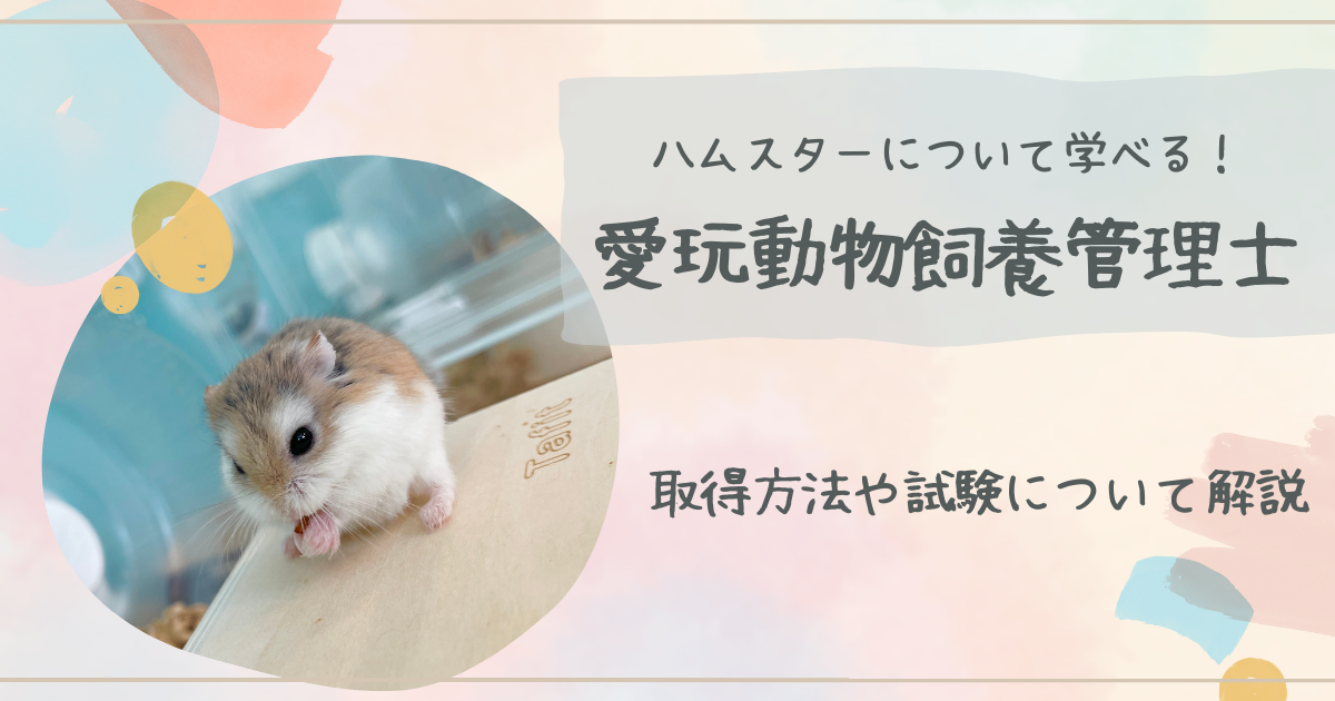 人は犬がいるかっこいい人はハムスターハムスターを持っている ジップパーカー 当てはまる？嫌いな人にしか見せないハムスターの行動