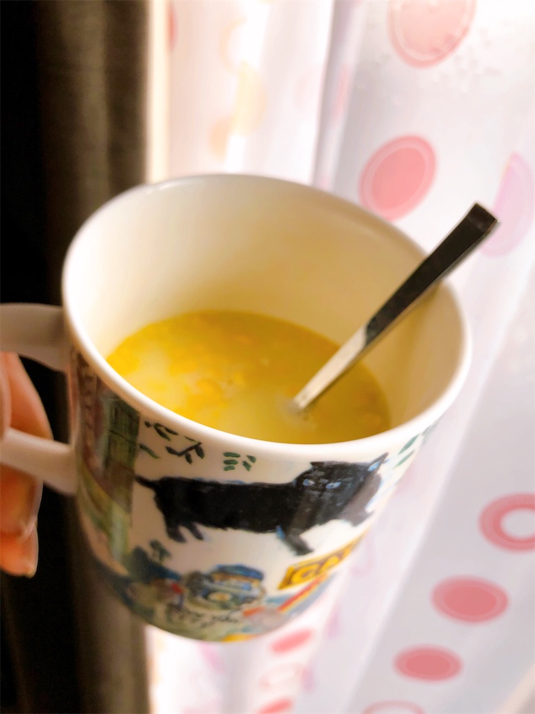 f:id:cinnamonbrown:20210129090827j:image