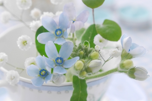 f:id:cinnamoncake:20190311190810p:plain