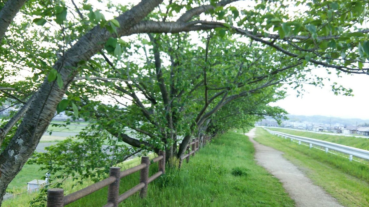 f:id:cinnamoncake:20190504223144p:plain f:id:cinnamoncake:20190504223144p:plain