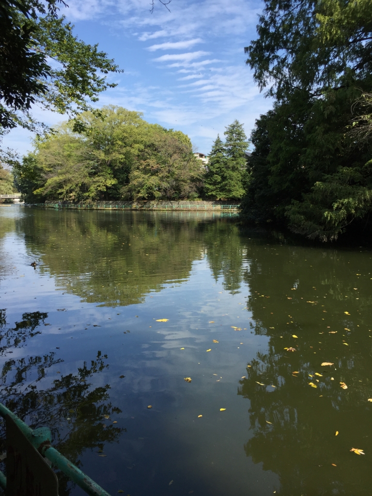 f:id:cinqplans:20161024190230j:plain