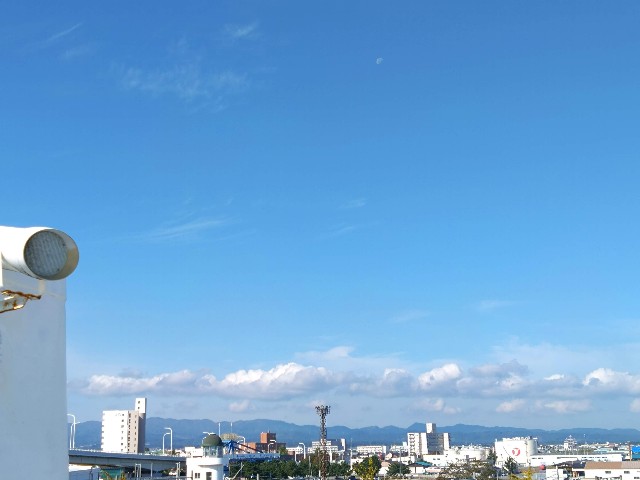 f:id:cinukarkamuy:20221204171234j:image f:id:cinukarkamuy:20221204171234j:image