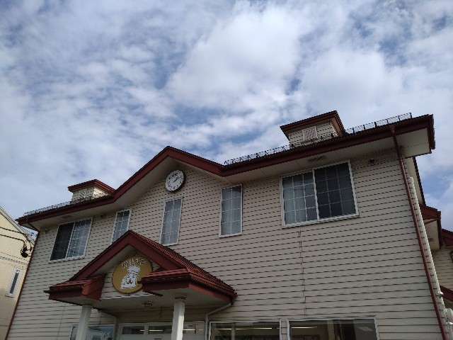 f:id:cinukarkamuy:20221204173624j:image f:id:cinukarkamuy:20221204173624j:image