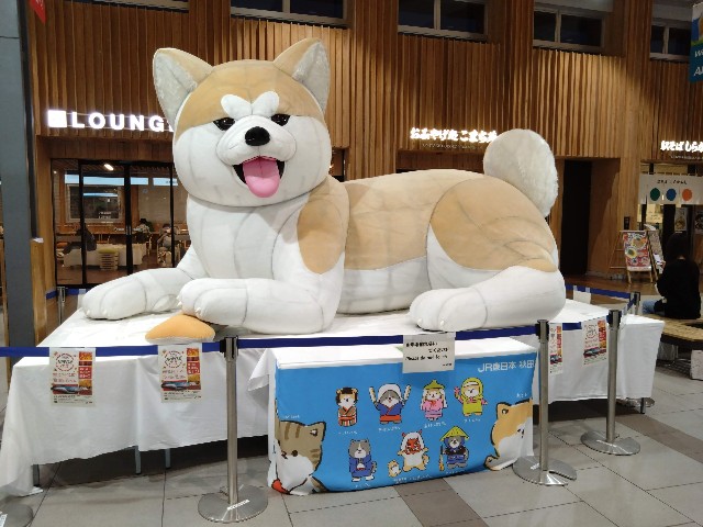 f:id:cinukarkamuy:20221204184109j:image f:id:cinukarkamuy:20221204184109j:image