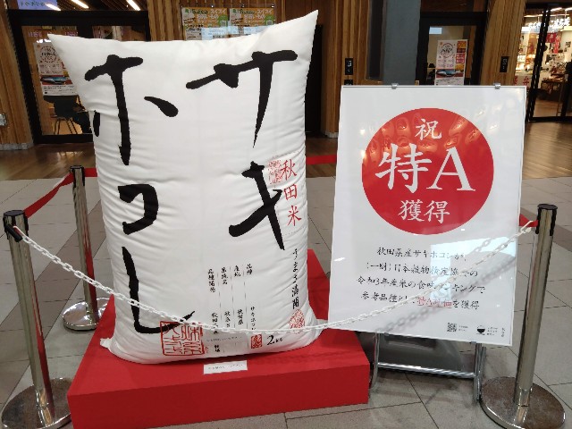 f:id:cinukarkamuy:20221204184444j:image f:id:cinukarkamuy:20221204184444j:image
