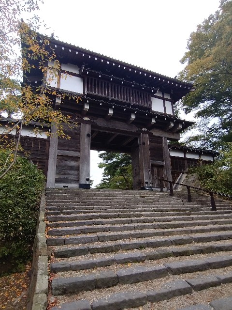 f:id:cinukarkamuy:20221204192748j:image f:id:cinukarkamuy:20221204192748j:image