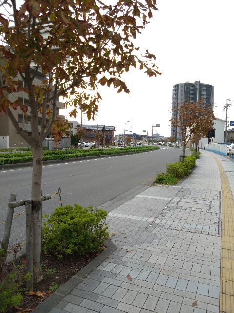 f:id:cinukarkamuy:20221204200846j:image f:id:cinukarkamuy:20221204200846j:image