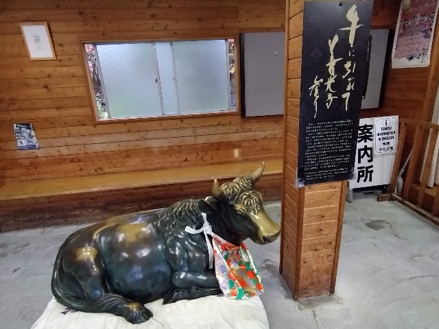 f:id:cinukarkamuy:20221204203347j:image f:id:cinukarkamuy:20221204203347j:image