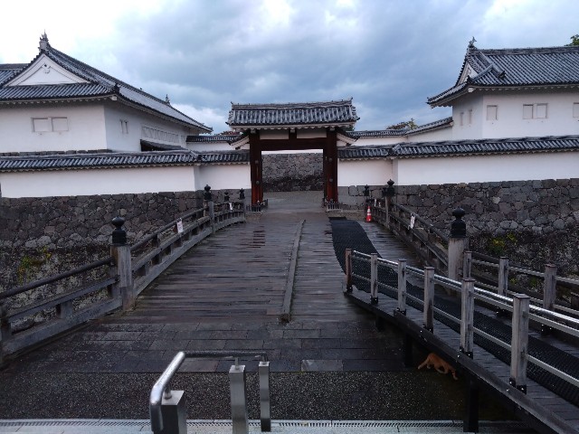 f:id:cinukarkamuy:20221204210813j:image f:id:cinukarkamuy:20221204210813j:image