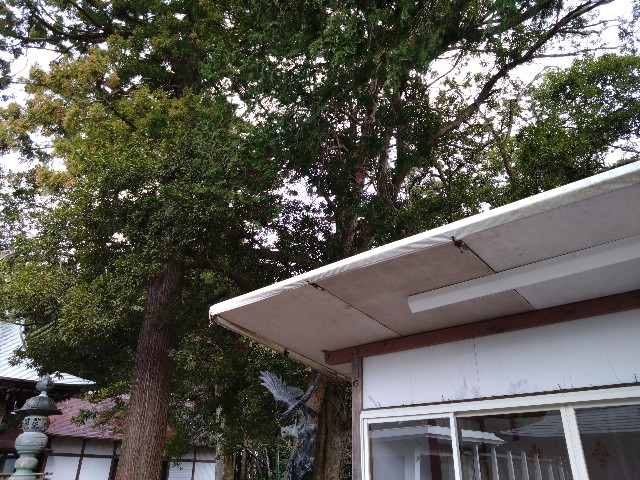 f:id:cinukarkamuy:20221224131909j:image f:id:cinukarkamuy:20221224131909j:image