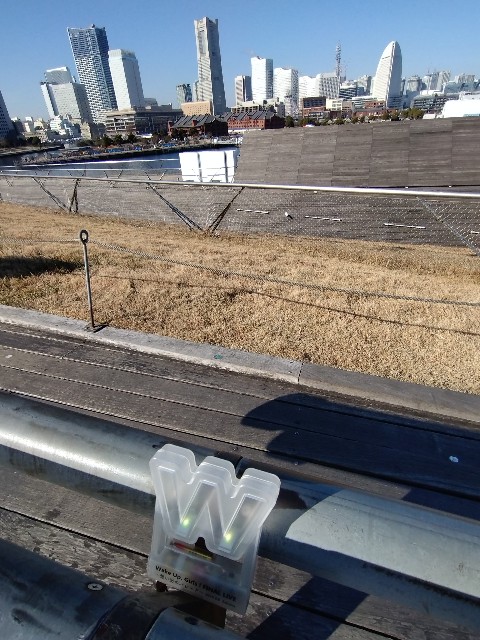 f:id:cinukarkamuy:20241201224615j:image