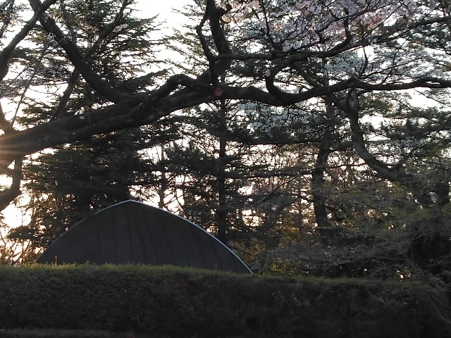 f:id:cinukarkamuy:20241205234044j:image