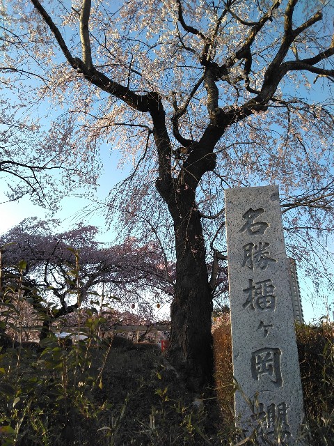 f:id:cinukarkamuy:20241205234539j:image
