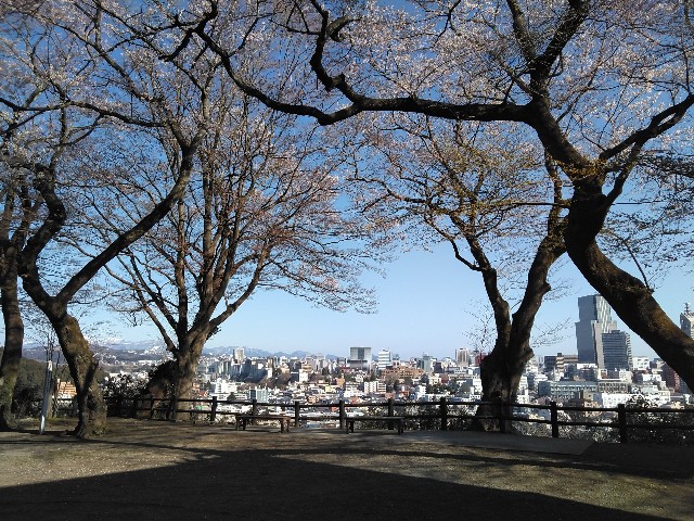 f:id:cinukarkamuy:20241205234854j:image